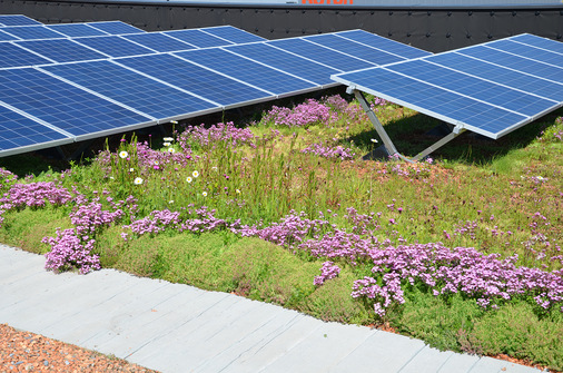 Begrünung mit Photovoltaikanlage - © Bauder