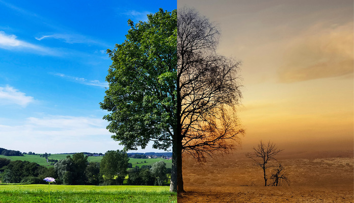 © Bild: ps-ixel - stock.adobe.com Schlechte Aussichten fürs Klima:  Für die Jahre nach 2030 erwartet der Expertenrat für Klimafragen eine deutliche Verfehlung der Emissionsziele.