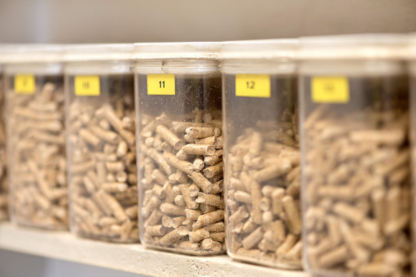 © Deutsches Pelletinstitut In Pelletswerken werden regelmäßig Proben entnommen, um die ENplus-Zertifizierung gewährleisten zu können. Nun wird in der Branche darüber gestritten, ob das ausreicht, um auch die Nachhaltigkeit des Brennstoffs zu bestätigen.